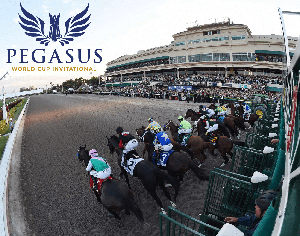 bet on Pegasus world cup